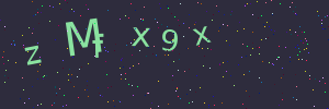 Validation image