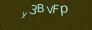 Validation image