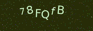 Validation image